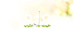 Een plat ontwerp van engel nummer 818 in een natuurlijke setting.